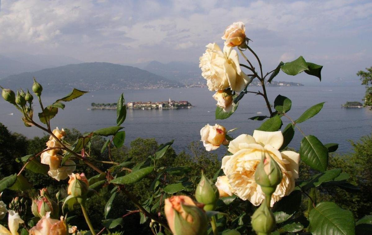 Villa Gaia Stresa Exterior photo